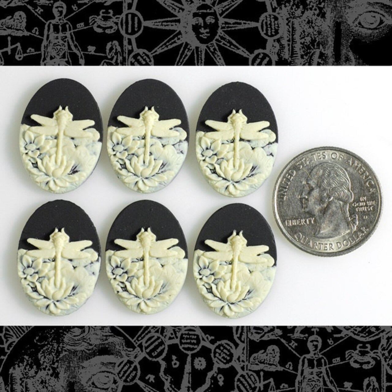 Black and Cream Dragonfly Cameos 24mm x 18mm Cameos - Set of Six - CAM84